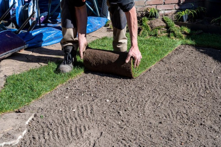 Pelouse naturelle à Entzheim, quels avantages pour votre jardin ?